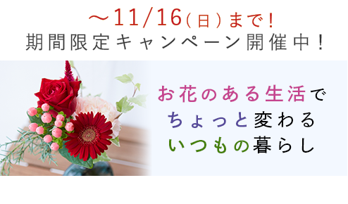 新規ユーザー向けキャンペーン