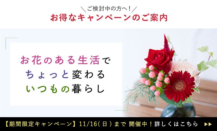 新規ユーザー向けキャンペーン