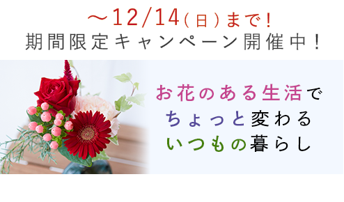 新規ユーザー向けキャンペーン