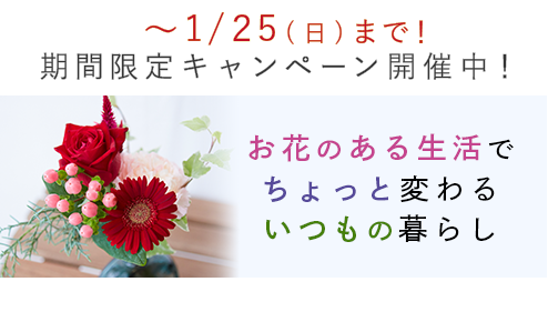 新規ユーザー向けキャンペーン
