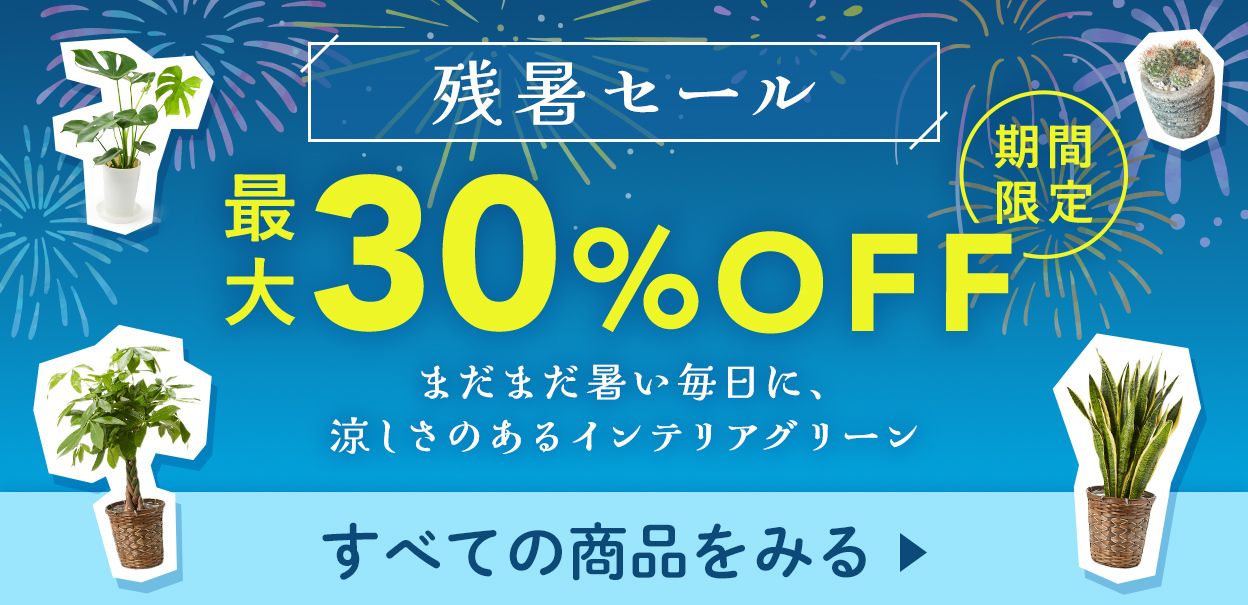 期間限定割引へ