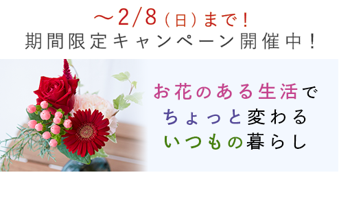 新規ユーザー向けキャンペーン
