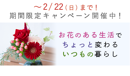 新規ユーザー向けキャンペーン