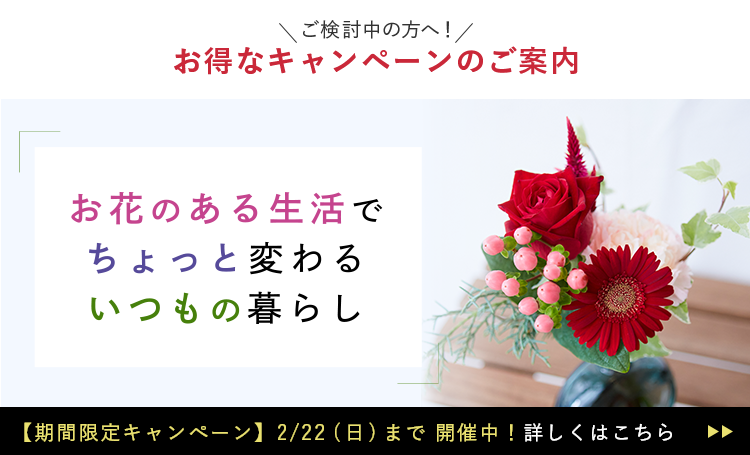 新規ユーザー向けキャンペーン
