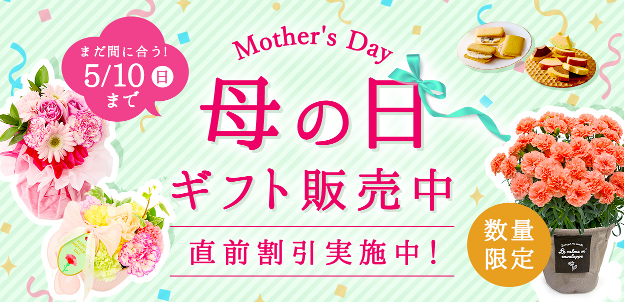 母の日特集 商品一覧へ