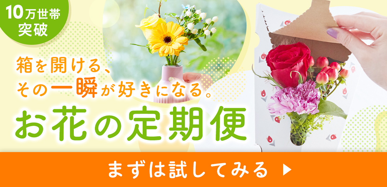 ストアTOPから定期便へ