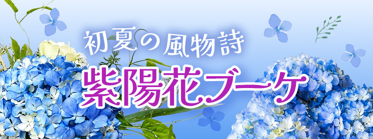 紫陽花