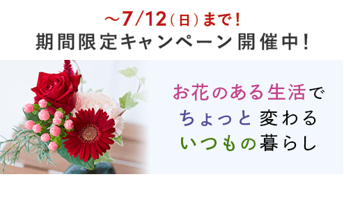 新規ユーザー向けキャンペーン