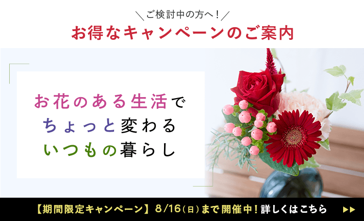 新規ユーザー向けキャンペーン