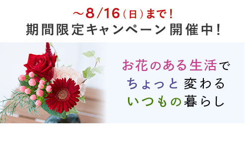 新規ユーザー向けキャンペーン