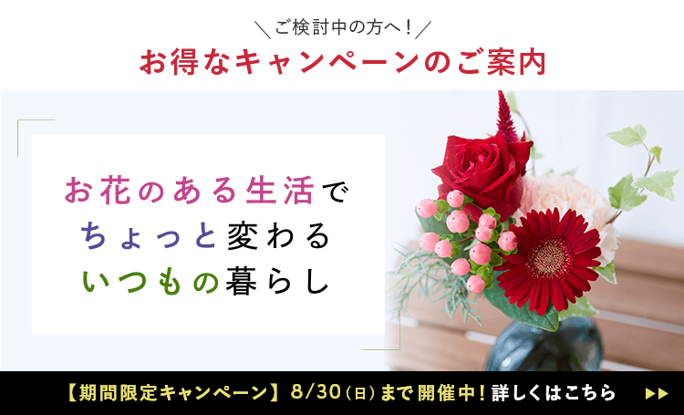 新規ユーザー向けキャンペーン