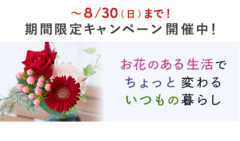 新規ユーザー向けキャンペーン