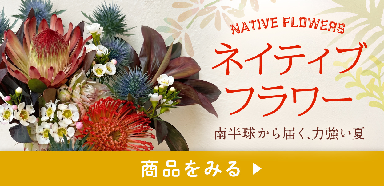 ネイティブフラワーの商品詳細ページへ