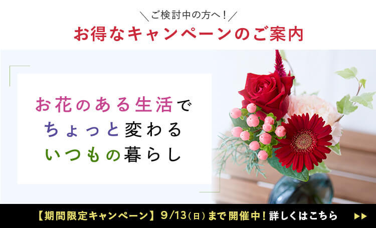 新規ユーザー向けキャンペーン