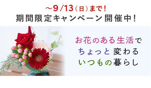 新規ユーザー向けキャンペーン