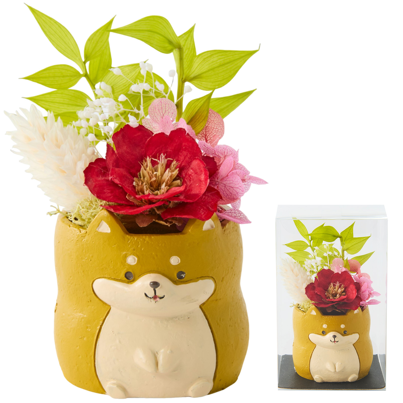 柴犬・茶