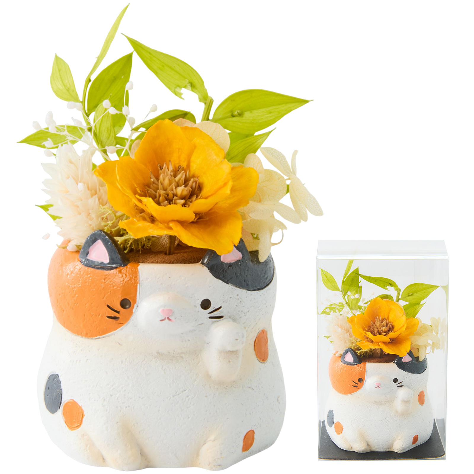 三毛猫