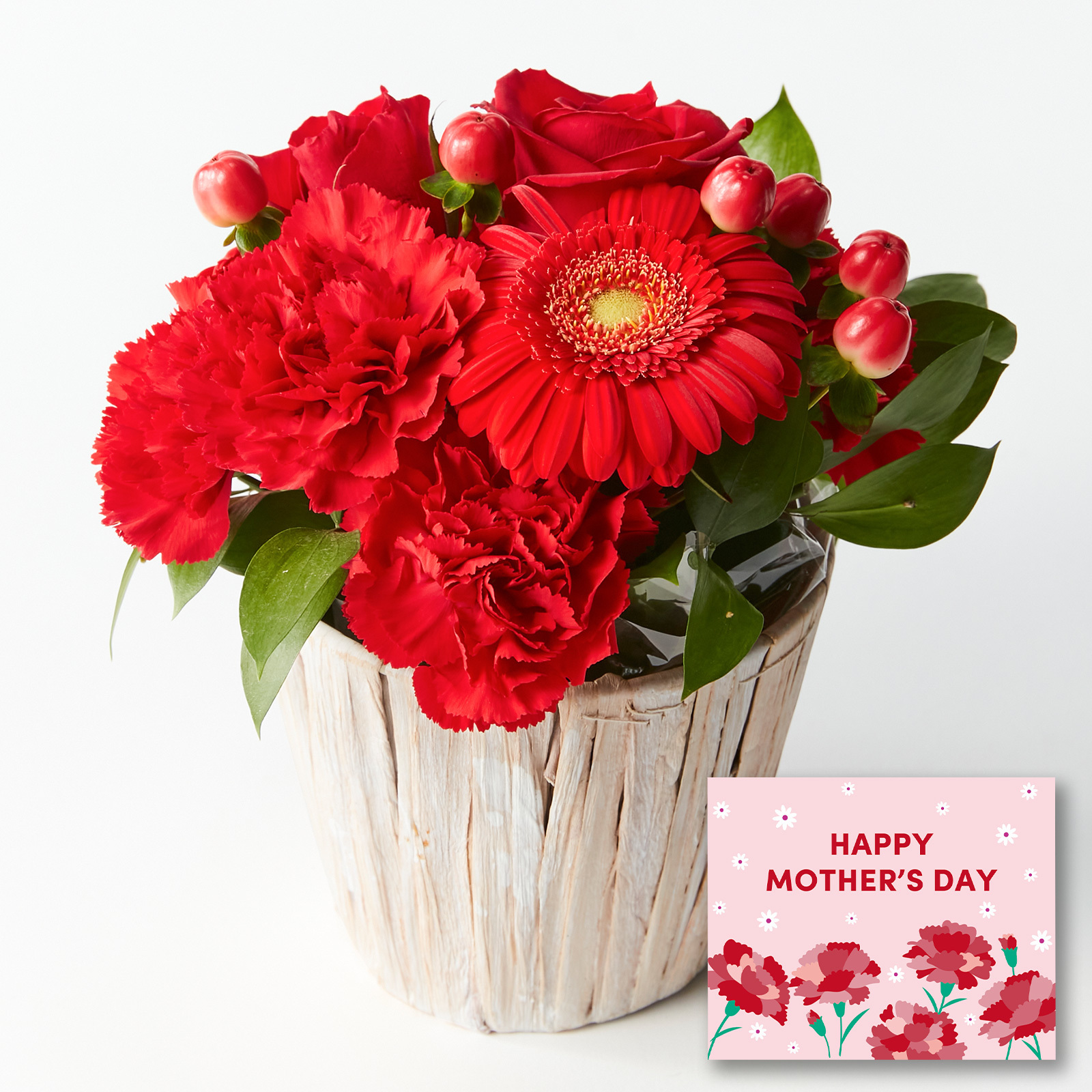 アレンジメント Sサイズ 赤【母の日カード付き】