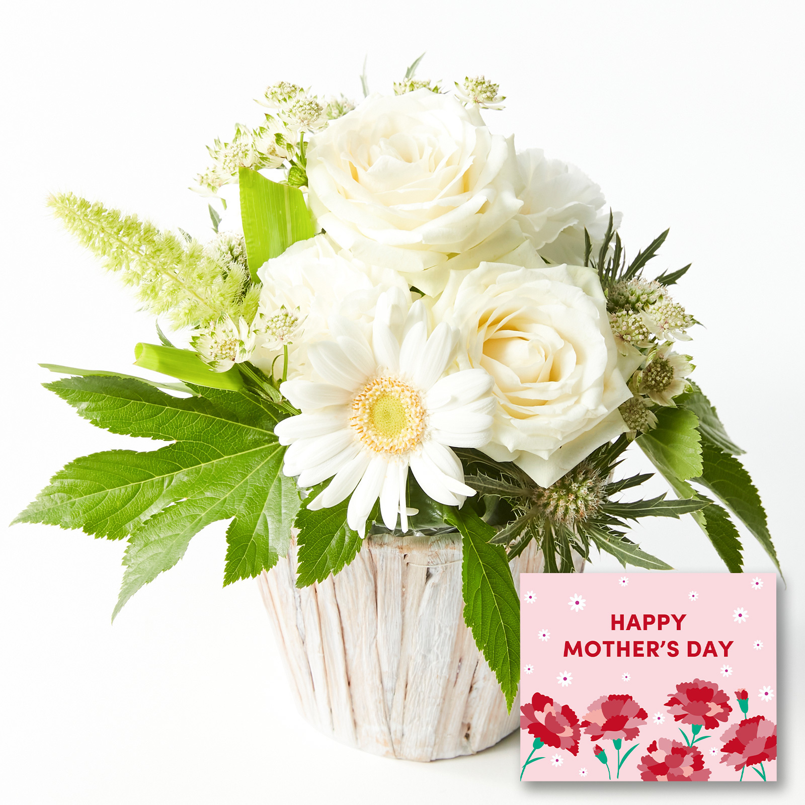 アレンジメント Sサイズ ホワイト【母の日カード付き】