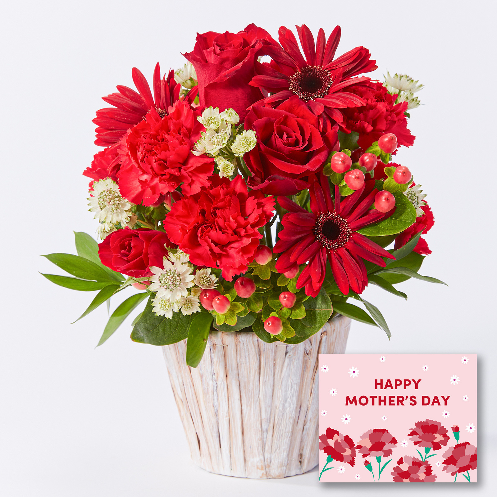 アレンジメント Mサイズ 赤【母の日カード付き】