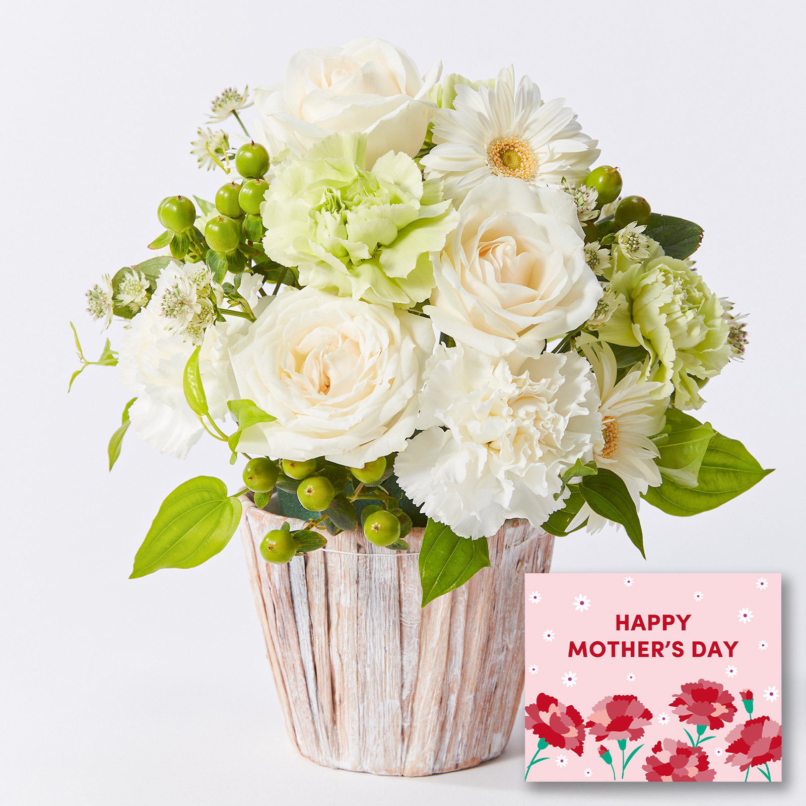 アレンジメント Mサイズ ホワイト【母の日カード付き】