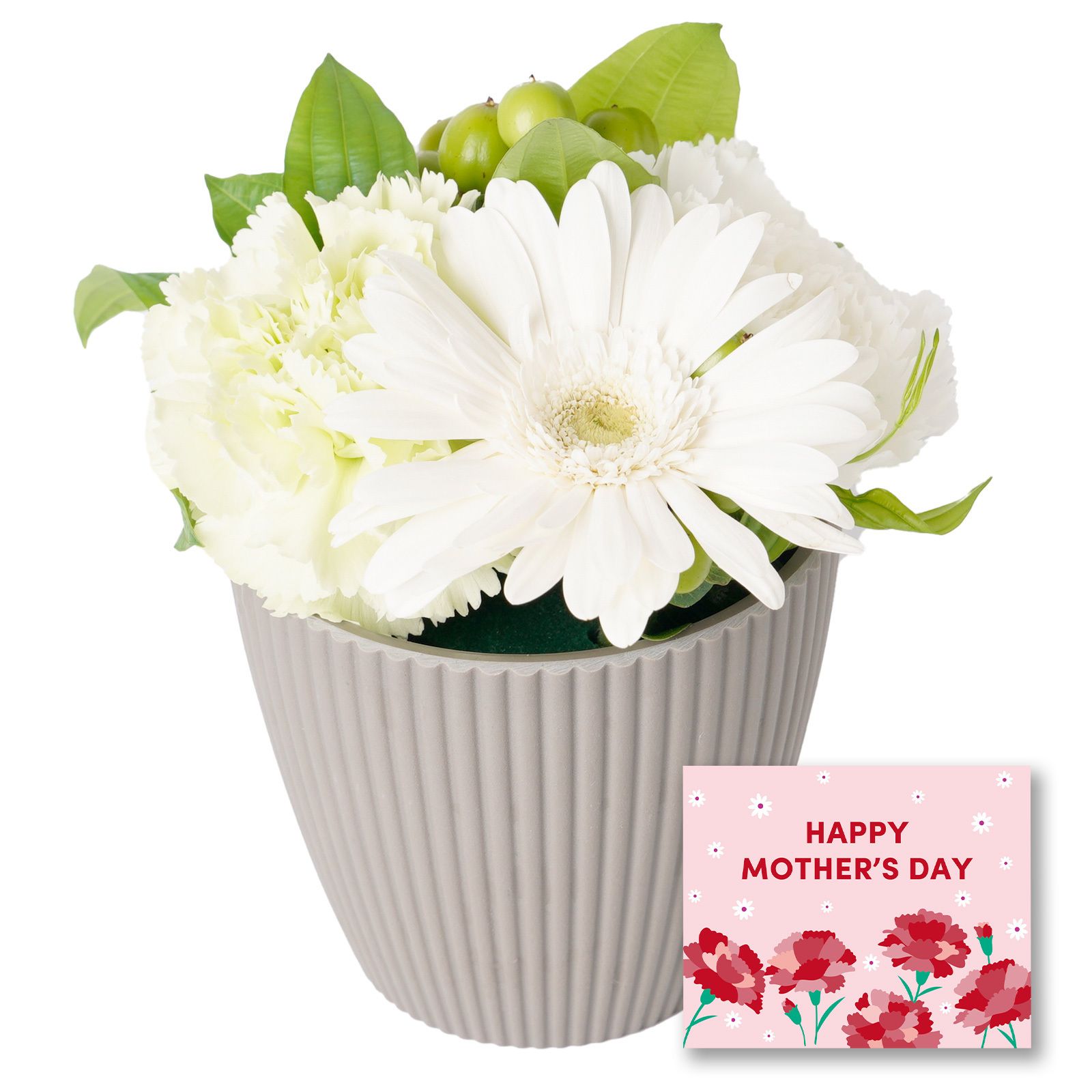 アレンジメント XSサイズ ホワイト【母の日カード付き】