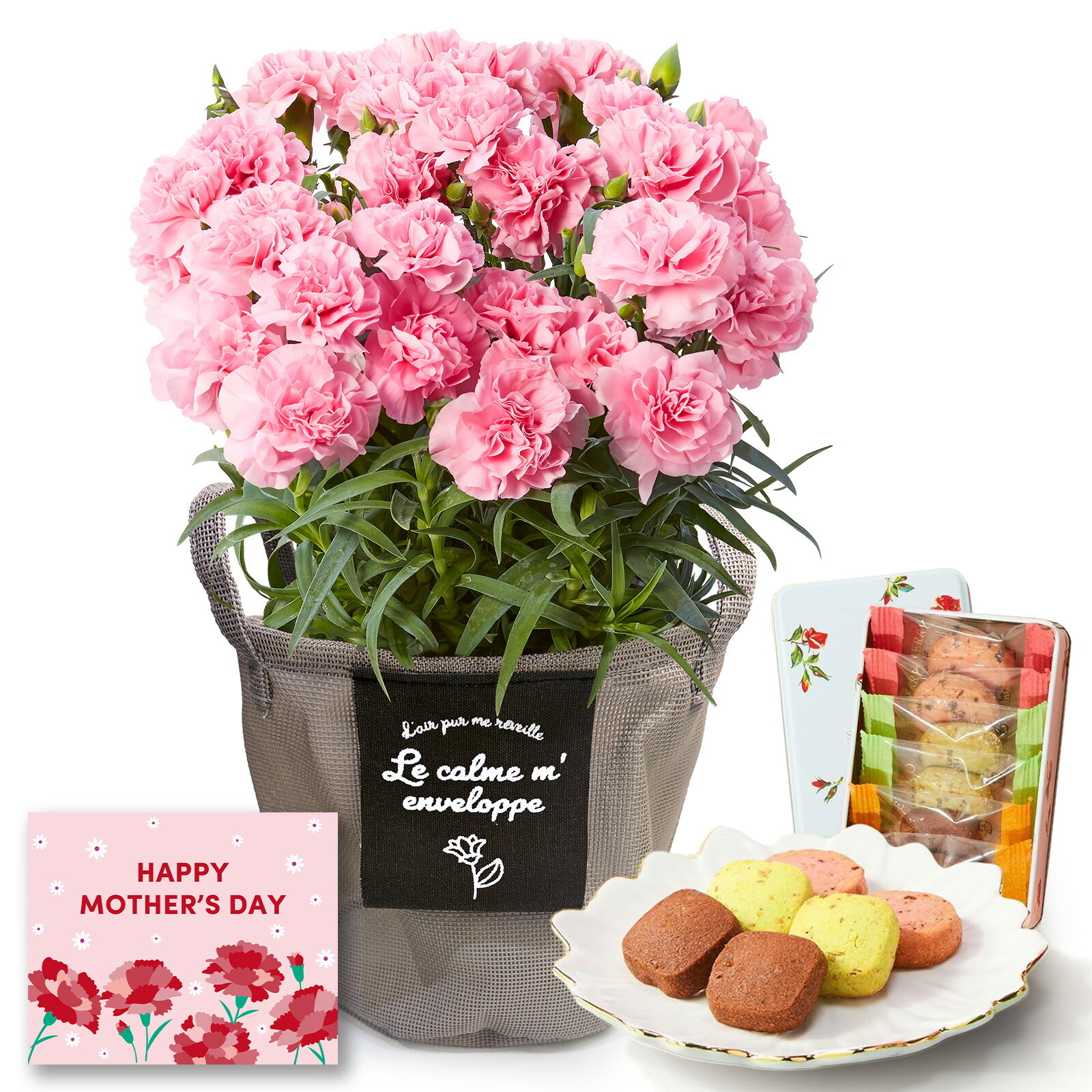 鉢植え カーネーション ピンク(クレア) と 銀座千疋屋クッキー のセット【母の日カード付き】