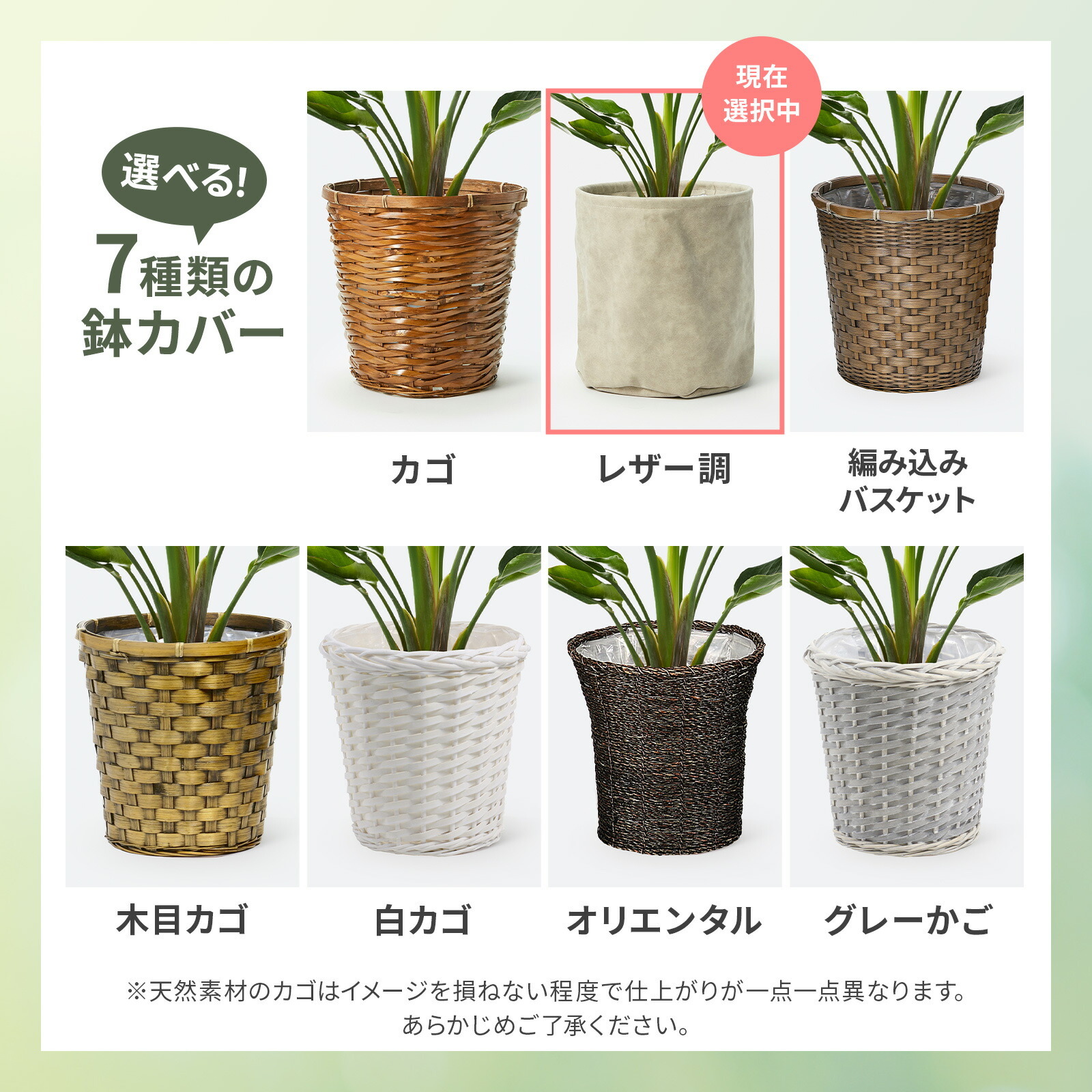 ストレリチア・オーガスタ7号 レザー調カバー