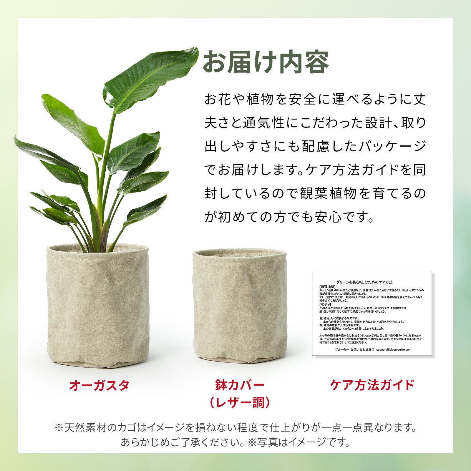 ストレリチア・オーガスタ7号 レザー調カバー