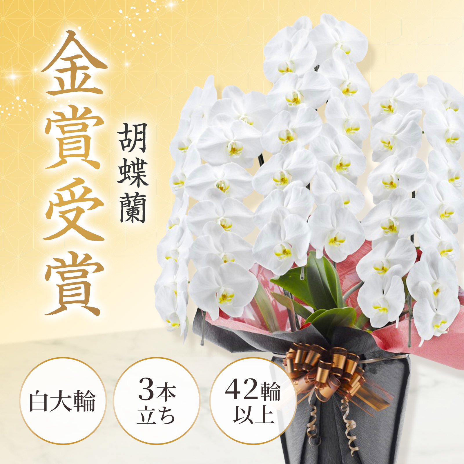 【お悔やみ・お供えの花】胡蝶蘭(白) 3本立ち 42輪以上(御供えラッピング　白レース)