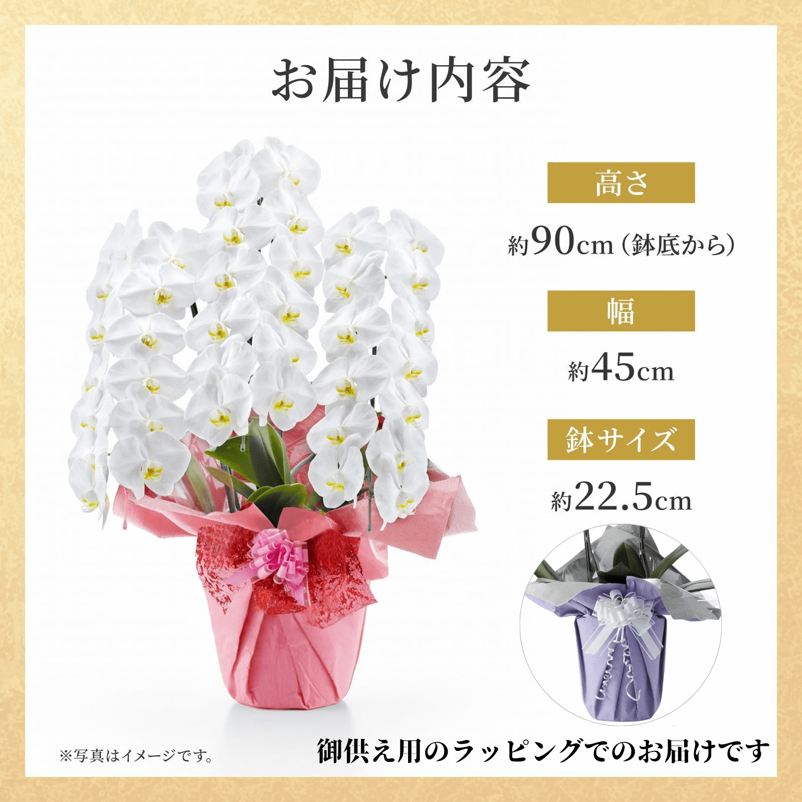 【お悔やみ・お供えの花】胡蝶蘭(白) 3本立ち 42輪以上(御供えラッピング　白レース)