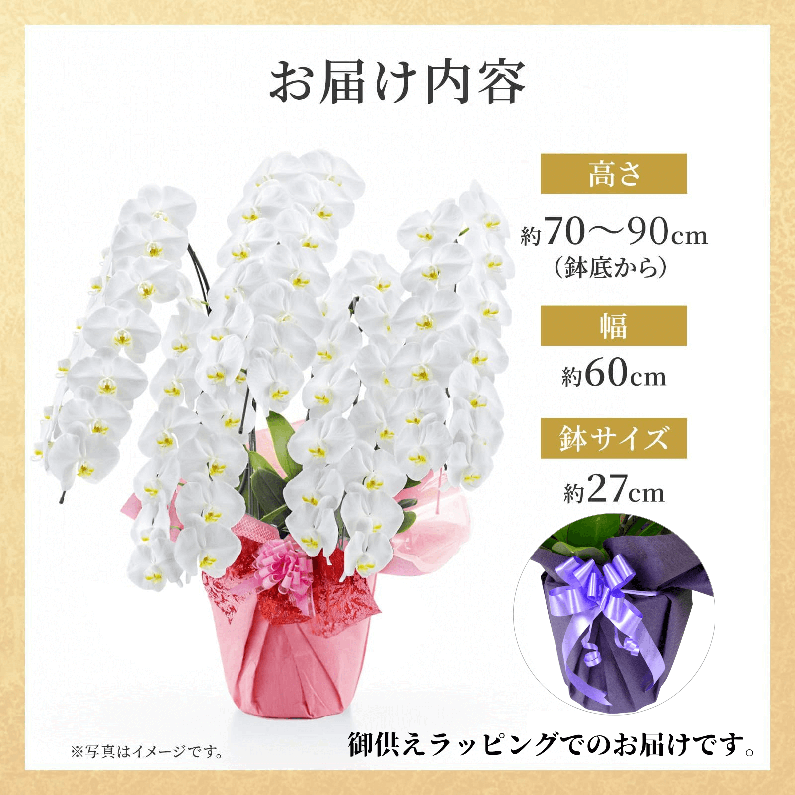 【お悔やみ・お供えの花】胡蝶蘭(白) 5本立ち 70輪以上(御供えラッピング　白レース)