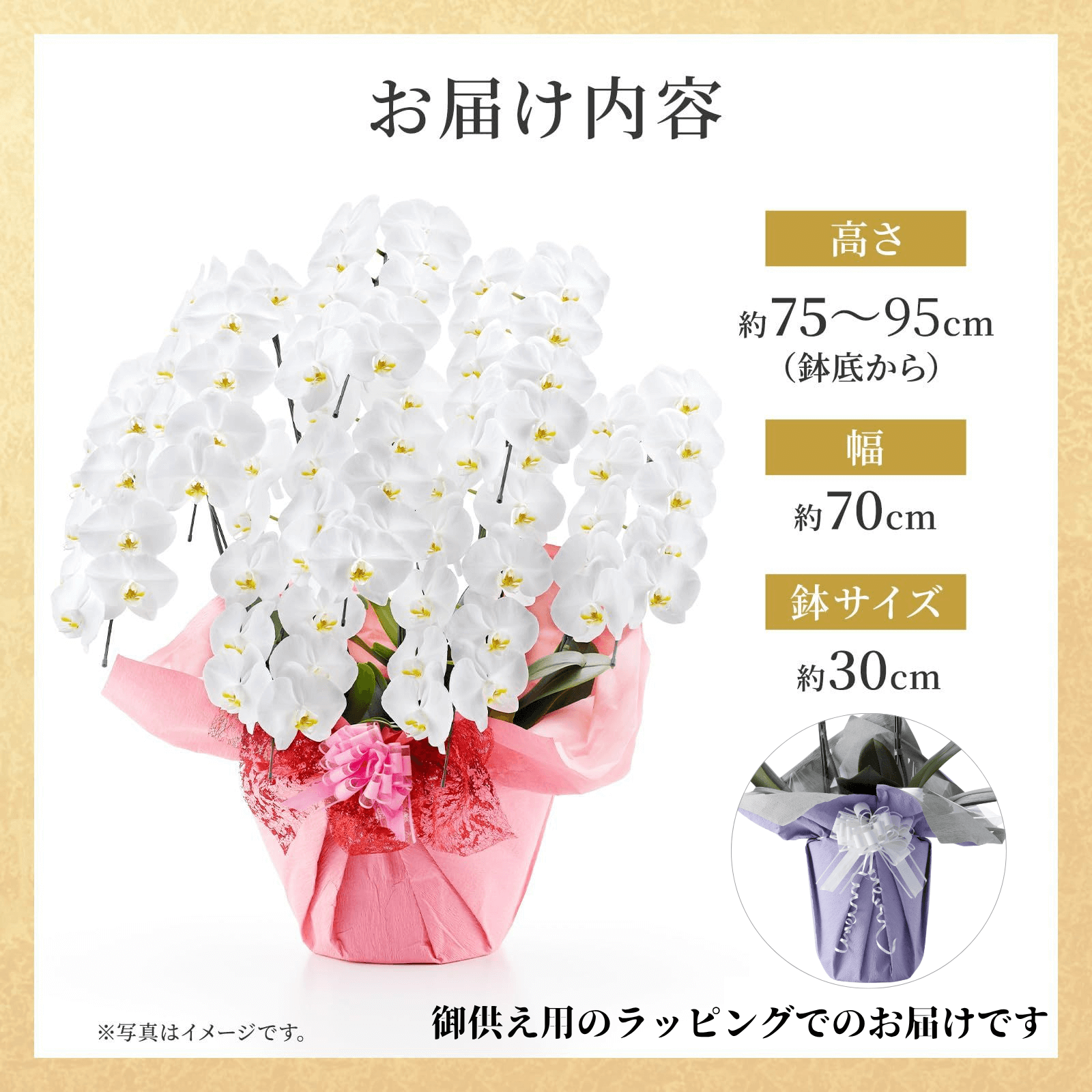 【お悔やみ・お供えの花】胡蝶蘭(白) 8本立ち 104輪以上(御供えラッピング　白レース)