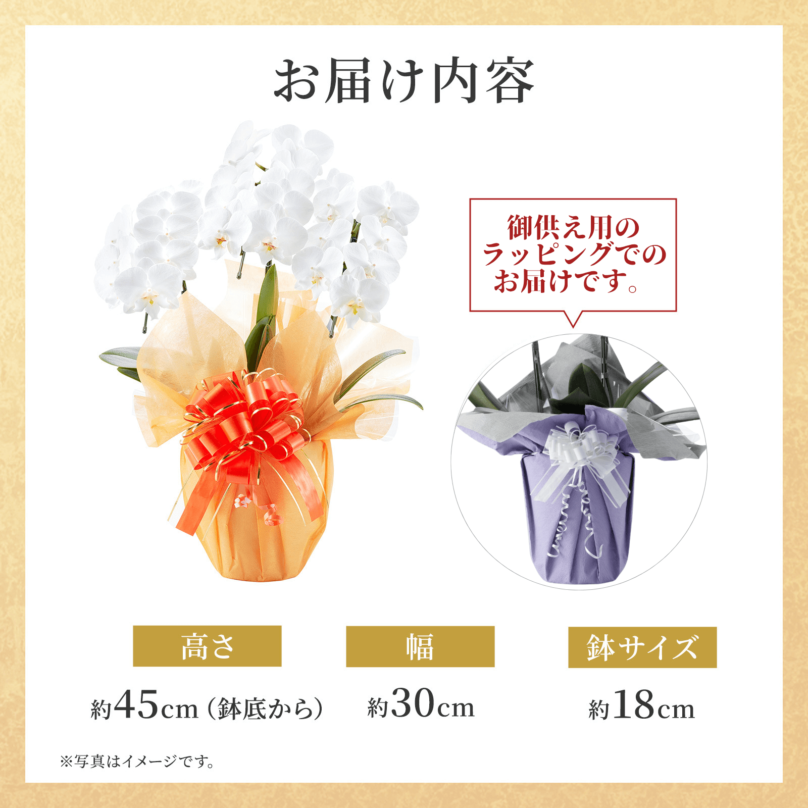 【お悔やみ・お供えの花】胡蝶蘭(白) ミディ 3本立ち21輪以上(御供えラッピング　白レース)_札なし