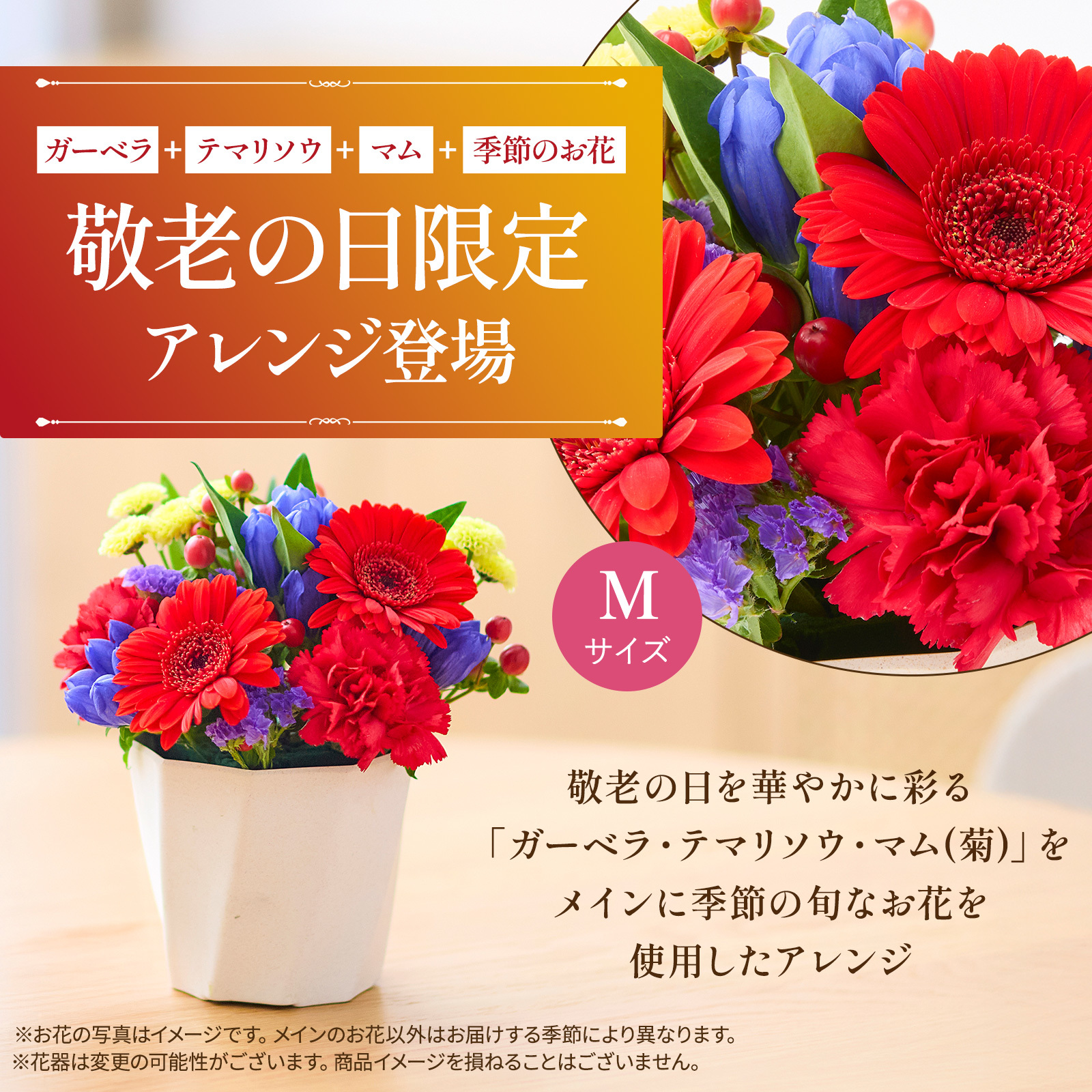 【敬老の日】アレンジメント 敬老の日ver. Mサイズ 敬老の日カード付き