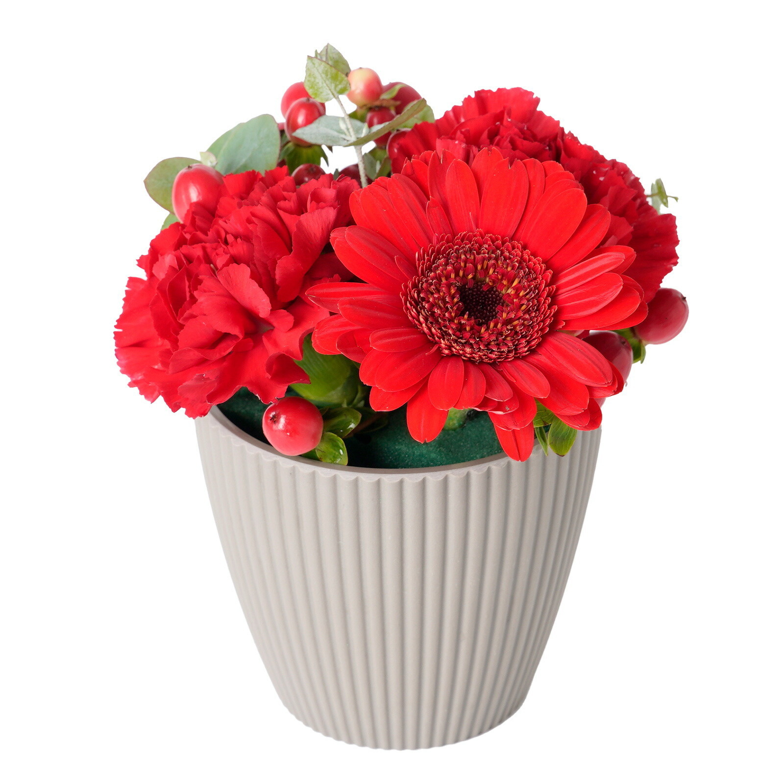 アレンジメント(赤)XSサイズ