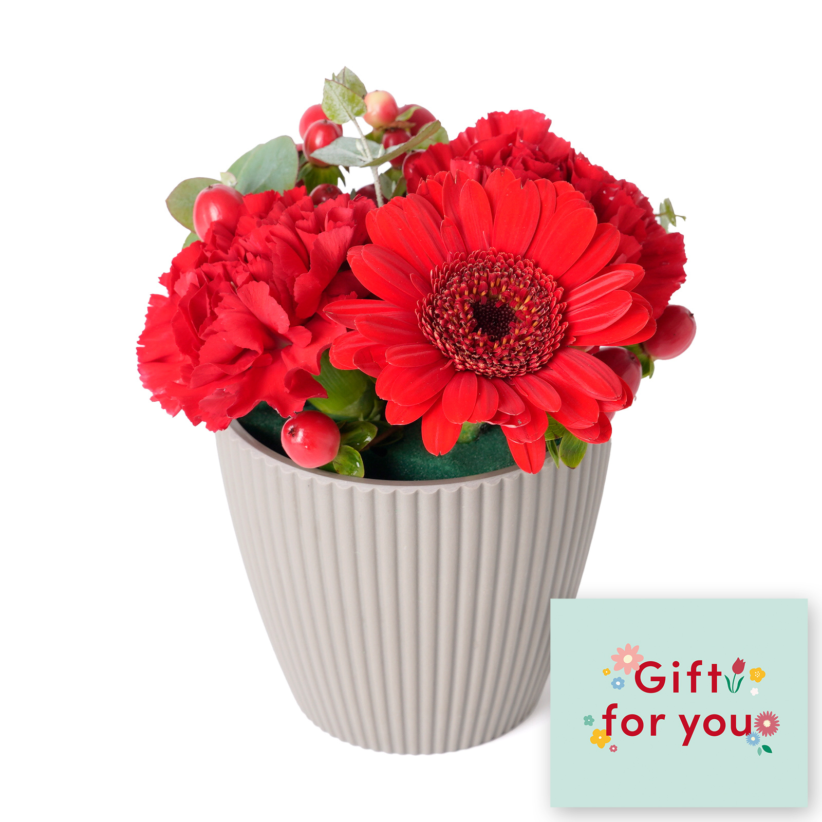 アレンジメント(赤)XSサイズ　Gift for youカード付き