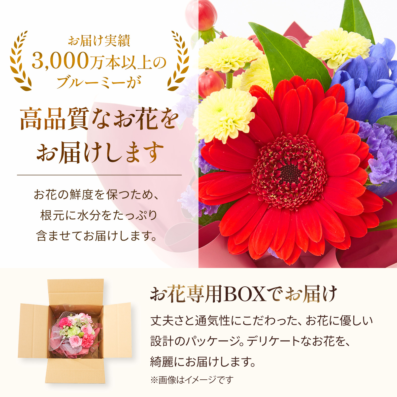 【敬老の日】そのまま飾れる敬老の日ブーケ XSサイズ 敬老の日カード付き