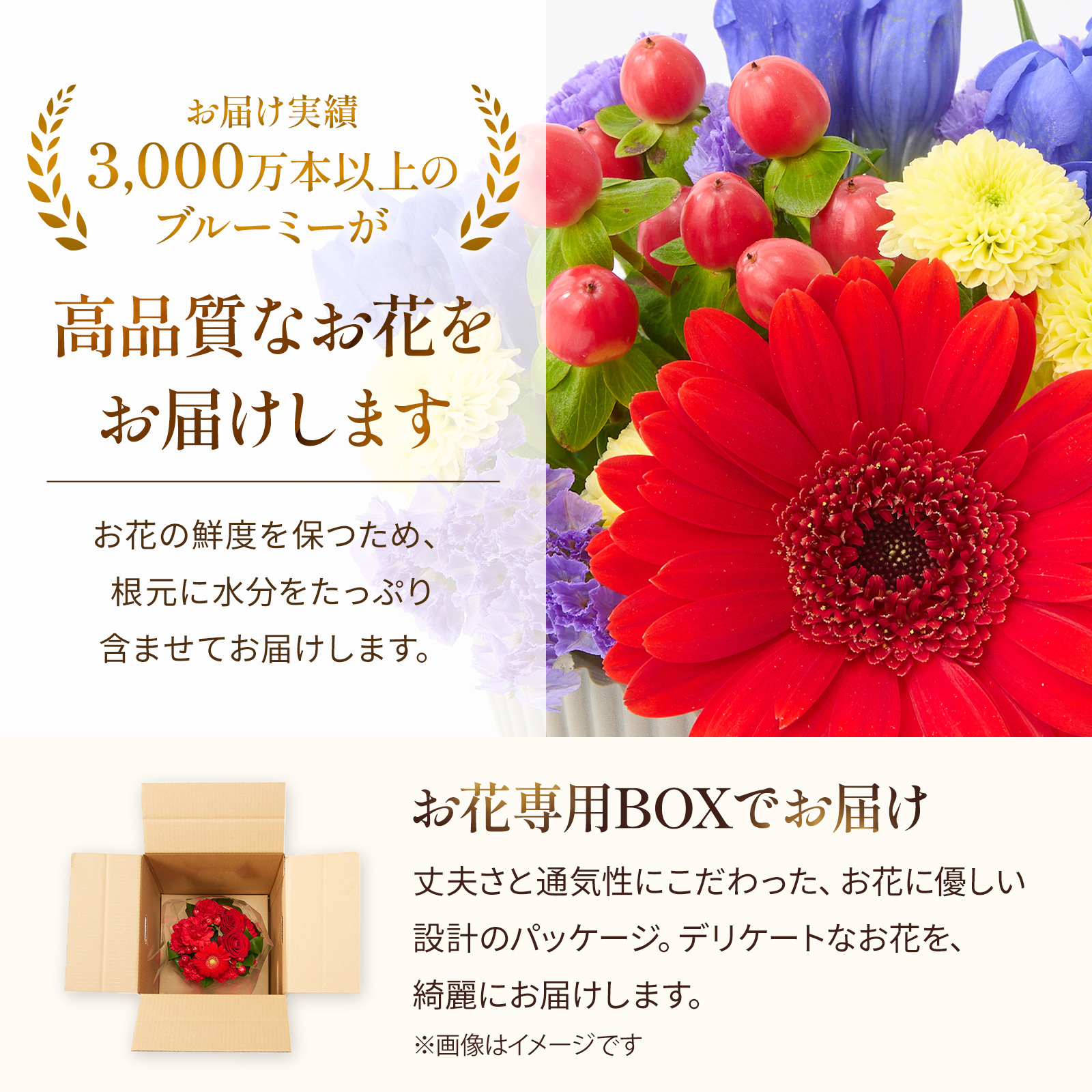 【敬老の日】アレンジメント 敬老の日ver. XSサイズ 敬老の日カード付き