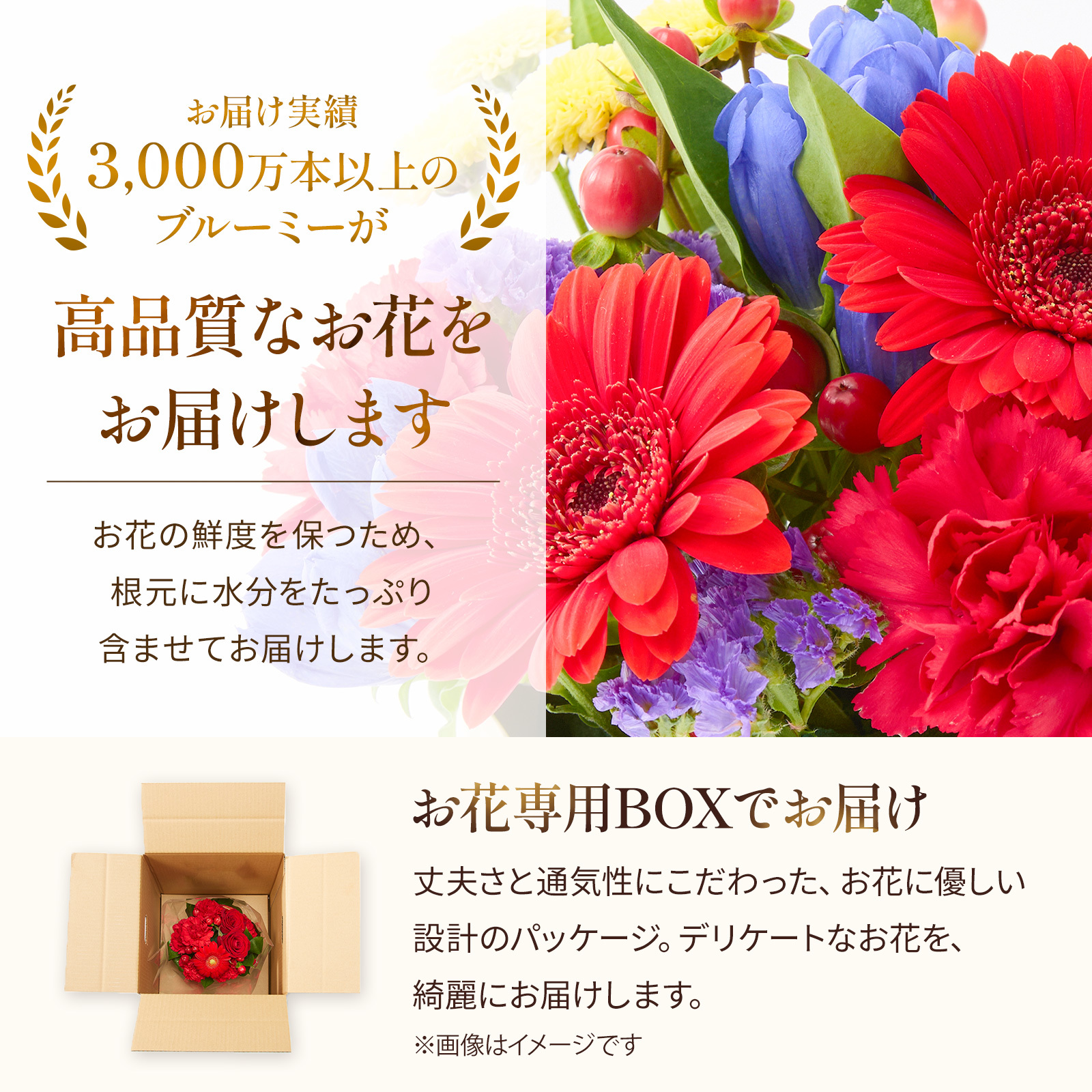 【敬老の日】アレンジメント 敬老の日ver. Mサイズ 敬老の日カード付き