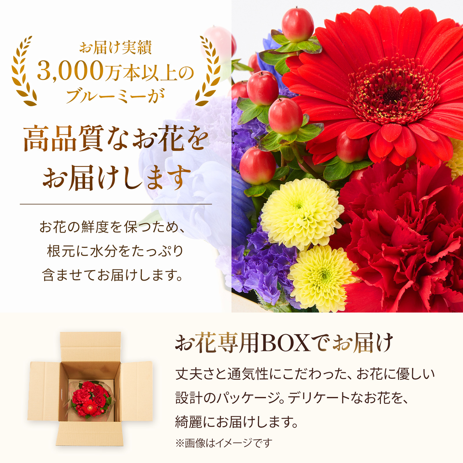 【敬老の日】アレンジメント 敬老の日ver. Sサイズ 敬老の日カード付き