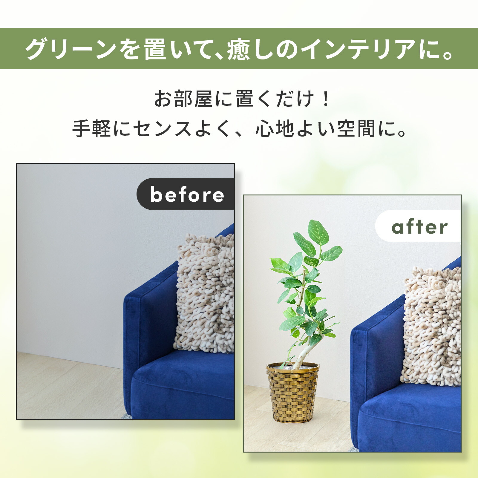 フィカス・ベンガレンシス 6号 木目かご