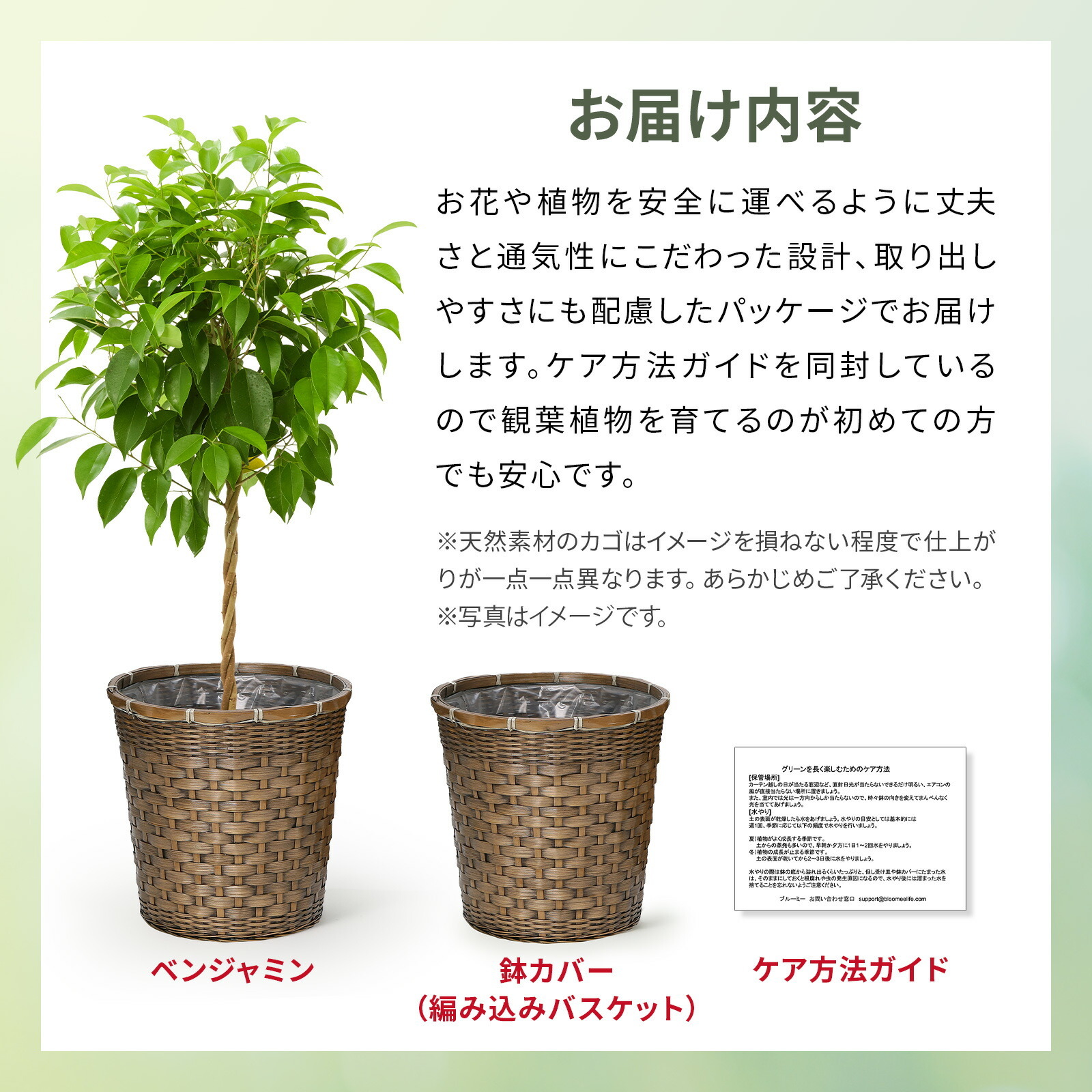 ベンジャミン　７号 編み込みバスケット