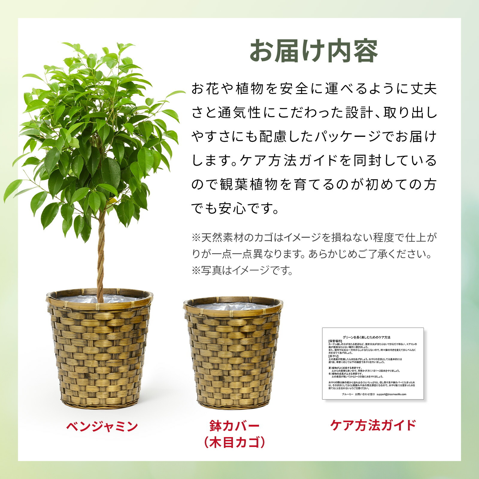 ベンジャミン　７号 木目かご