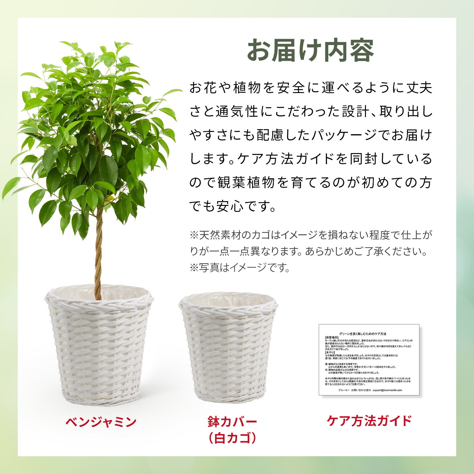 ベンジャミン　７号 白かご