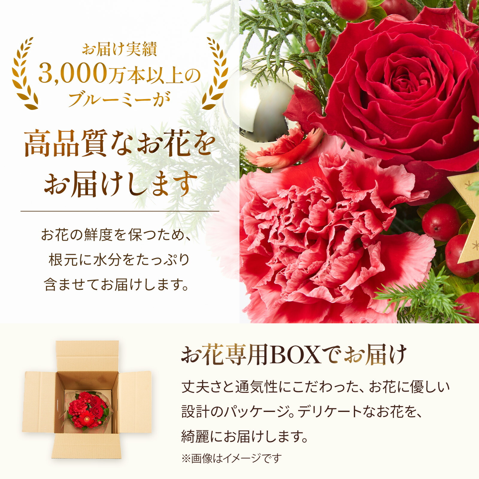 アレンジメント(クリスマスver、Sサイズ ) | お花のギフト通販