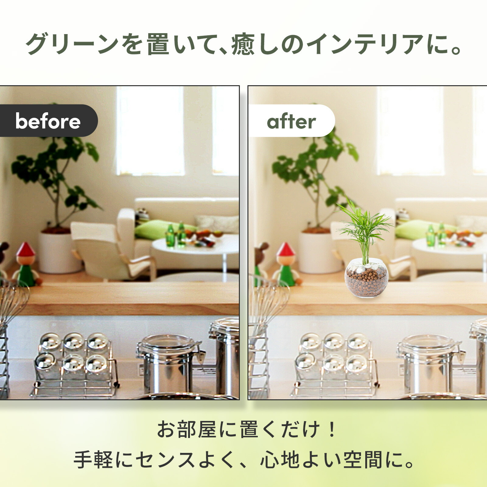 テーブルヤシ ３号 ハイドロカルチャー 観葉植物