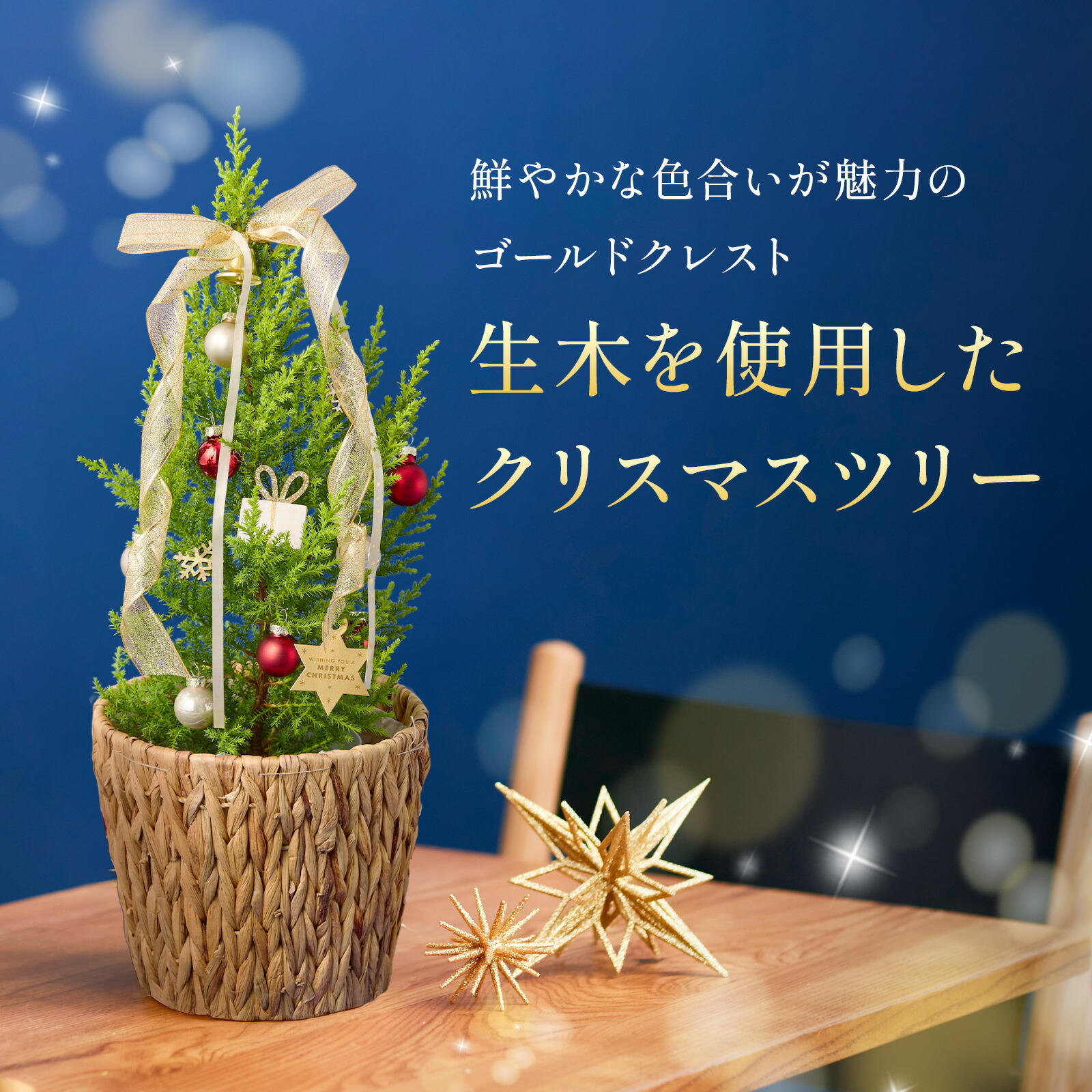 クリスマスミニツリー オーナメント付き