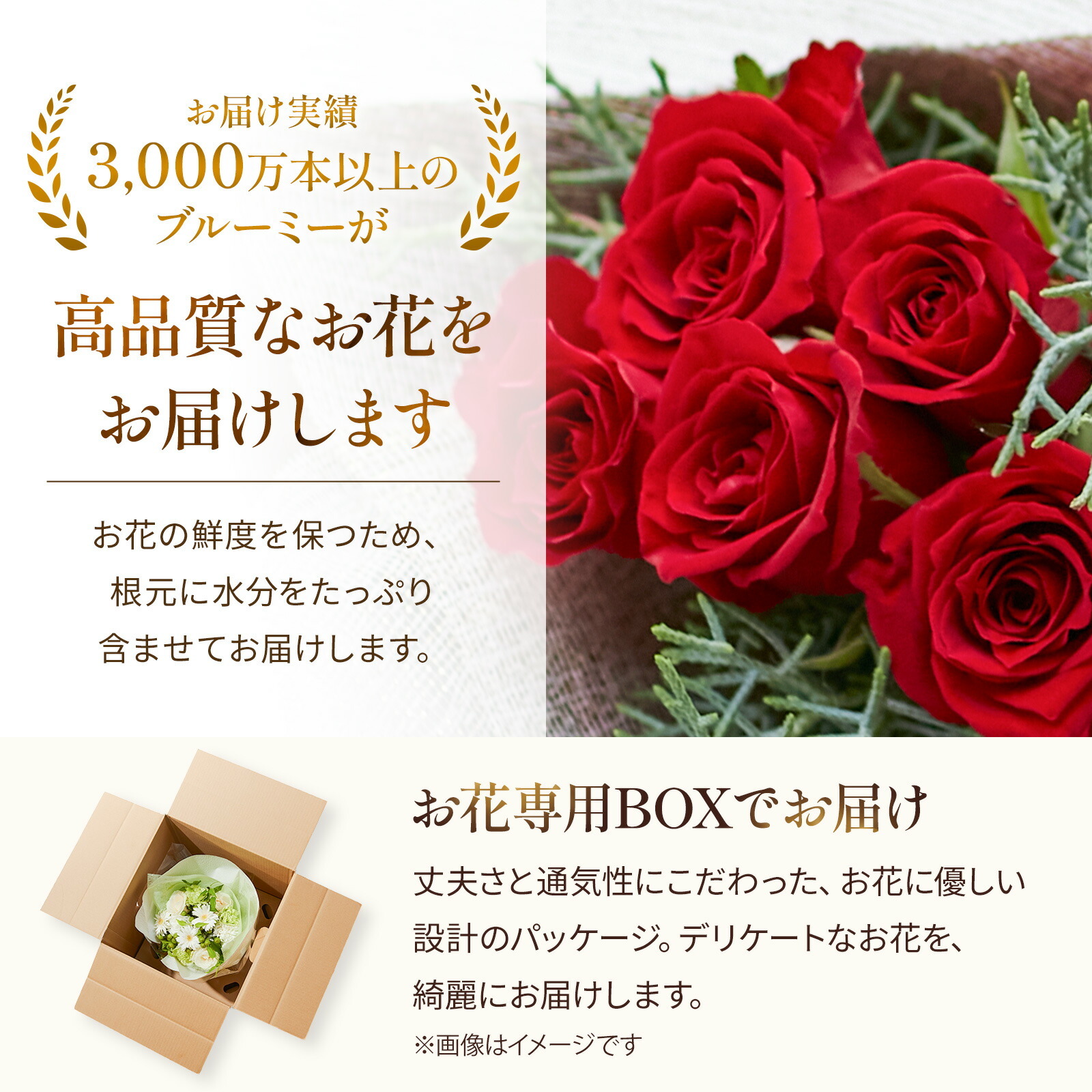 バラ5本のブーケ クリスマスカード付き