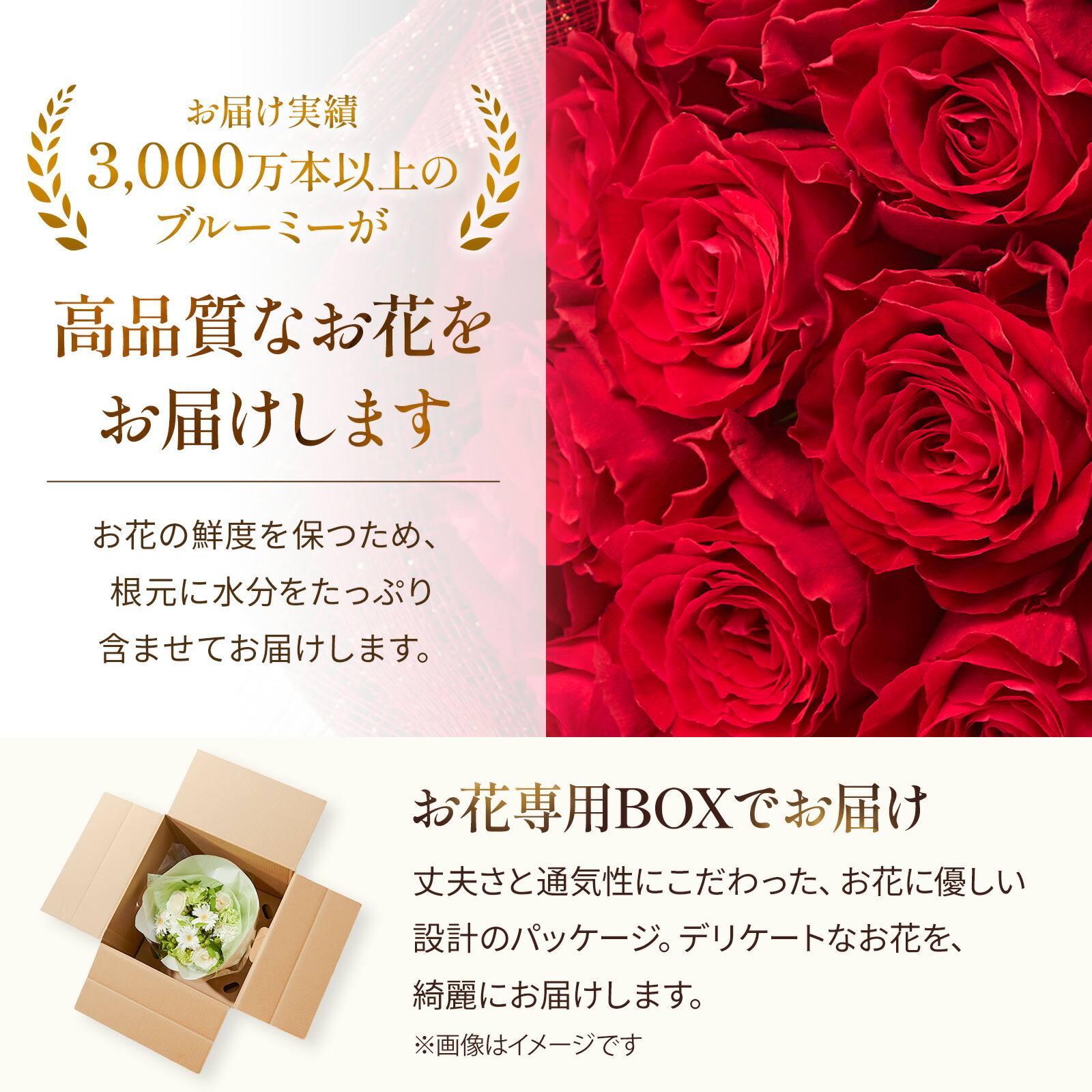 バラ20本のプレミアムローズブーケ クリスマスカード付き